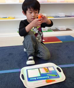 There is a Learn And Play Montessori preschool in South Fremont now.