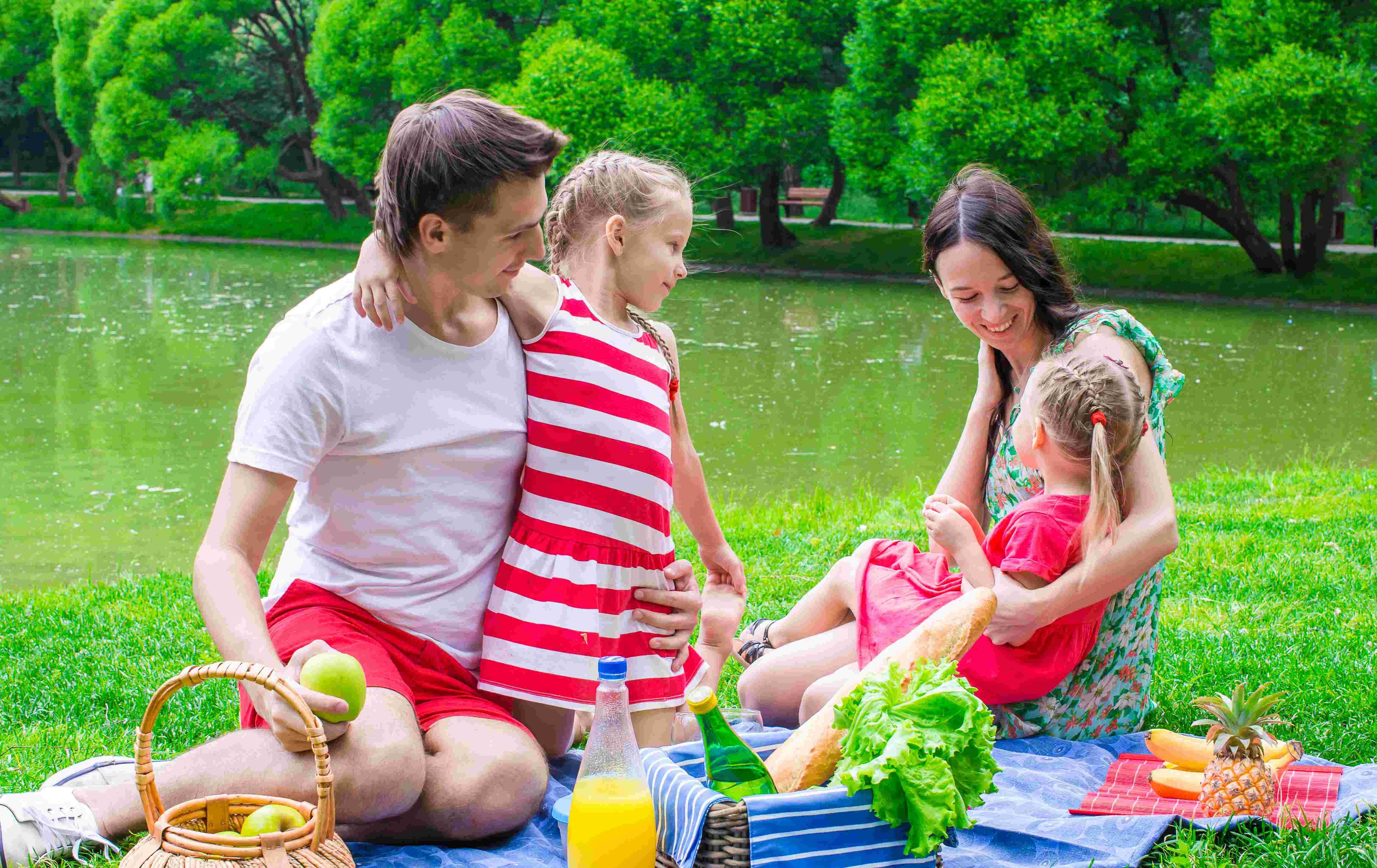 family picnic together
